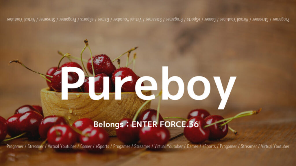 E36のPureboyのPUBG大会成績や使用デバイスを紹介の画像