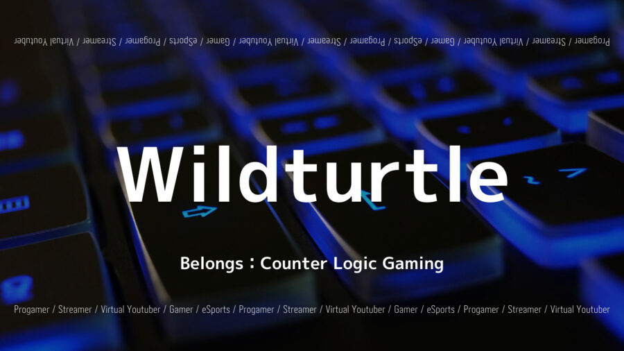 「WildturtleのLOL大会実績・デバイス・プレイ動画紹介」のアイキャッチ画像